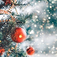 Merry Christmas from all at Logosoft