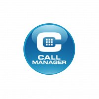 Call Manager: IP or Analogue?